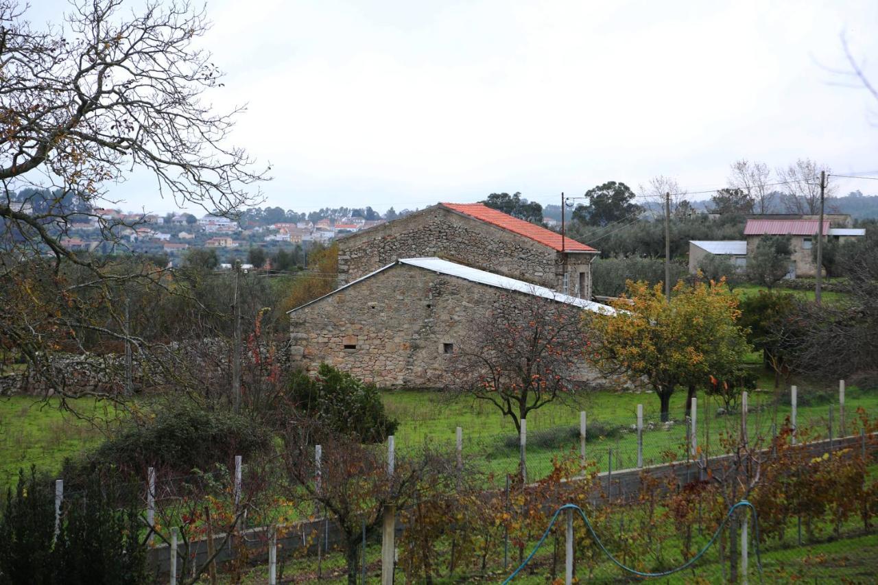 Casa D'Avo Serra Da Estrela Seia Eksteriør billede
