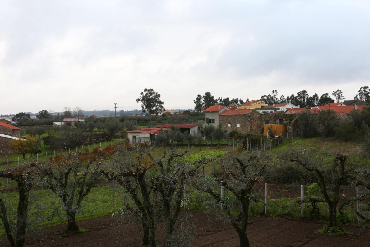 Casa D'Avo Serra Da Estrela Seia Eksteriør billede